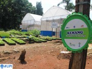 LIPI dan Astra Konservasikan Buah Langka Nusantara